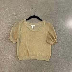 Gold small chain crop blouse